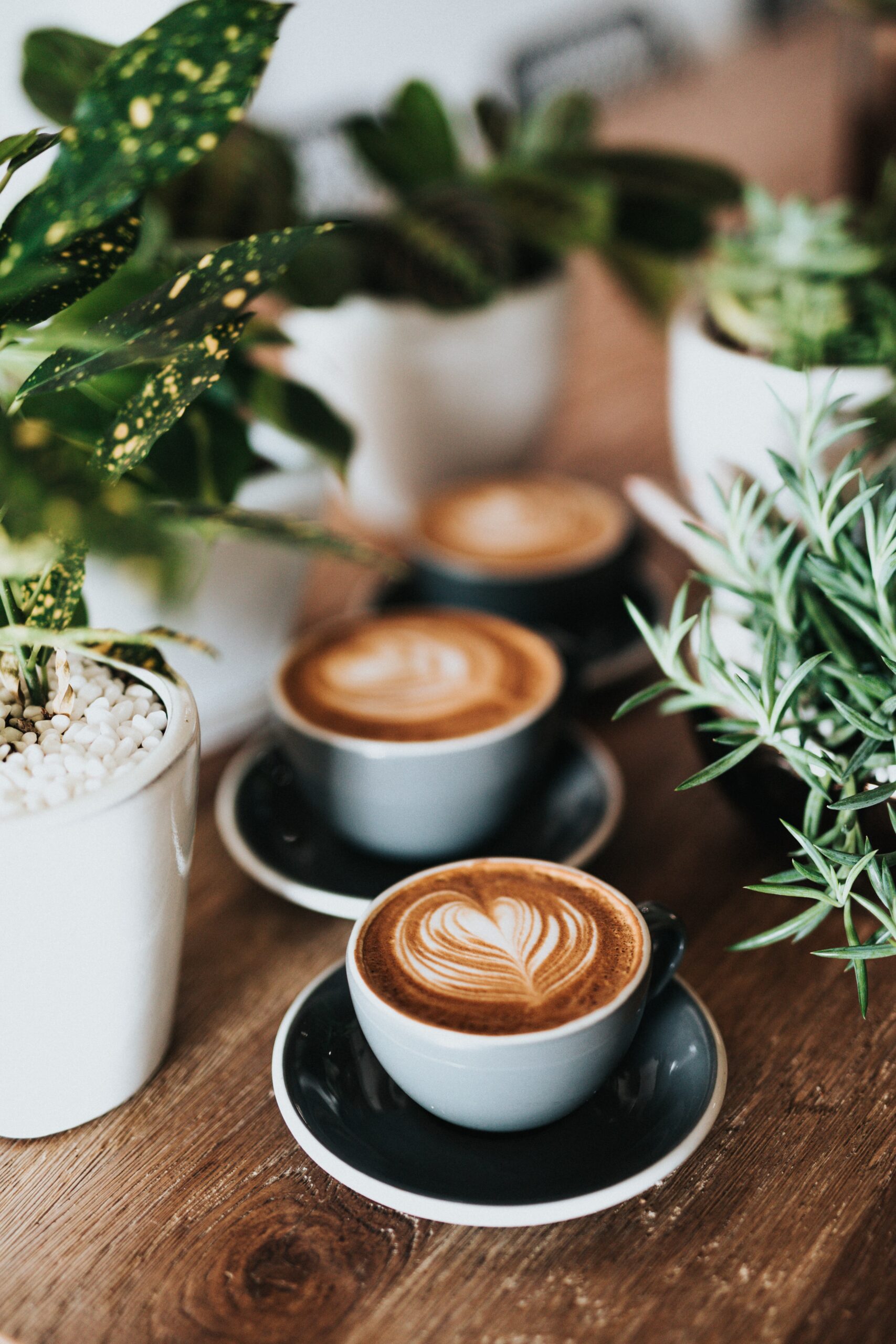 It is never to late for lattes